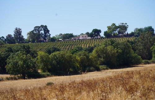 Monte dos 2 Tanques - Foto 17