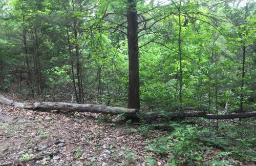 Cherokee mountain log cabin resort - Foto 40