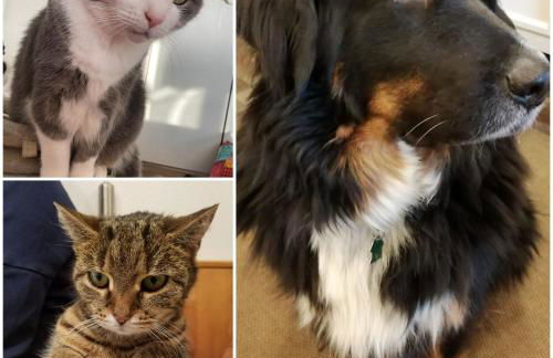 Alte Brennerei - Foto 19