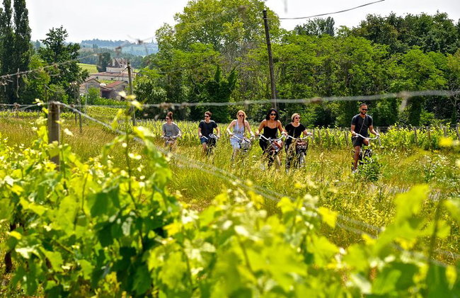 "Explora Saint-Émilion en bicicletas eléctricas: Grupo pequeño, excursión de medio día" - Foto 7
