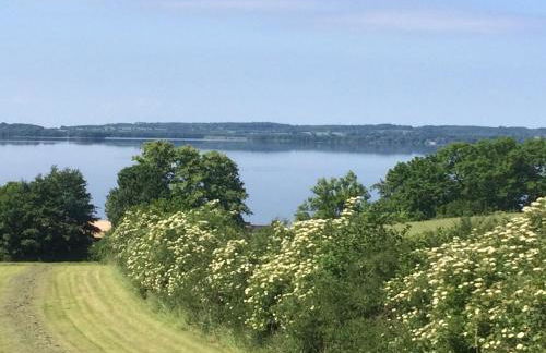 Hoheluft am Wittensee Apt 1 - Foto 23