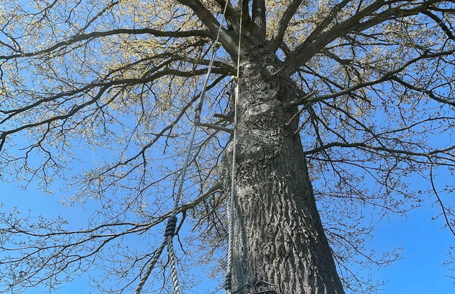 Beautiful Holiday Home With Swimming Pool - Foto 37