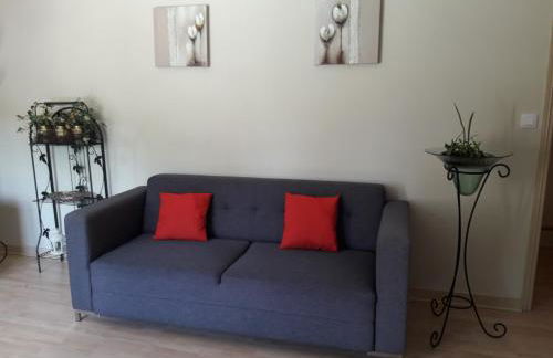 Logis de LANGE apt les Ecureuils - Foto 39