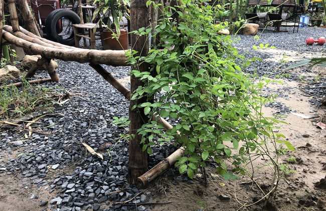 Bau Bi Mini Farmstay Mekong - Tien Giang - Foto 42