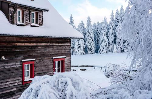 Ferienhäuser im Torfhaus Harzresort, Torfhaus - Foto 11