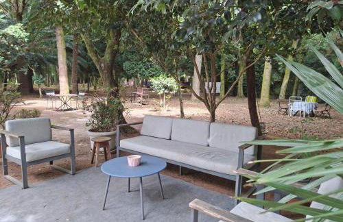 Oasis Ponte San Lázaro - Photo 32