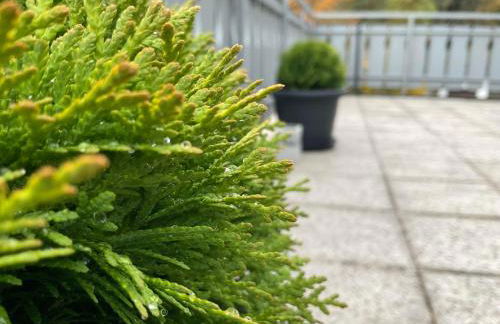 Ferienwohnung Schwarzwald Tannenzäpfle - Foto 17