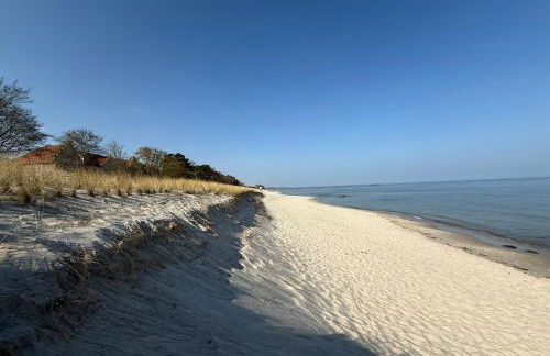 Residence Black Eagle Lubmin Strand - Foto 4