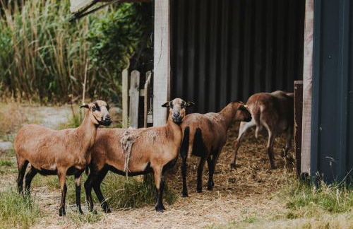 Urlaub im Alten Kutscherhaus - Photo 60
