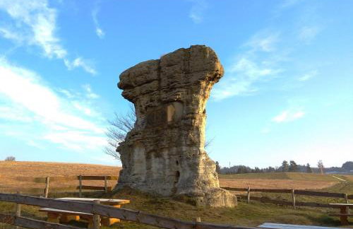 Pod klonem z Balią i Sauną - Foto 43