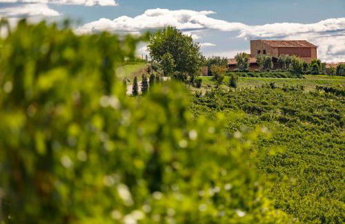 Wine Relais In Montecucco - ColleMassari Hospitality - Foto 156