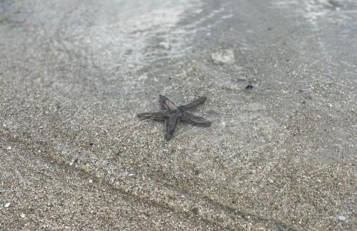 Chalet maisonette dans hameau calme - Foto 29