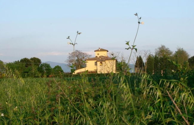 Agrisalotto - Foto 37