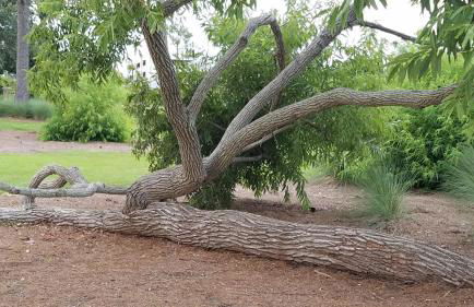 W2Beach 4TVs Roku Pets WC WiFi 4King ßds grill games - Foto 19