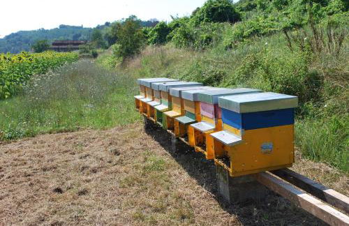 A Casa Del Tosi - Foto 48