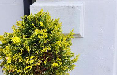 Ty Capel in Tywyn - Foto 27