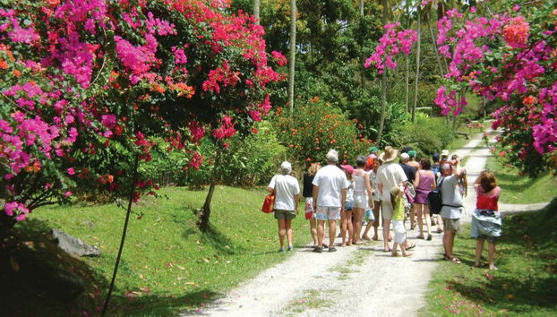 Excursión a la bahía de Soufrière en barco - Foto 4, Caminando en el entorno natural de Soufrière
