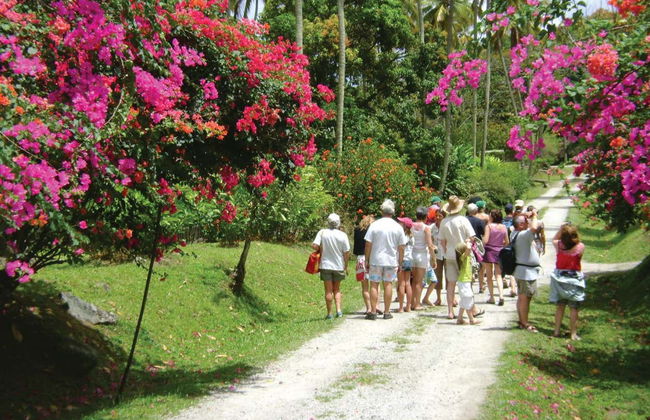 Excursión a la bahía de Soufrière en barco - Foto 4