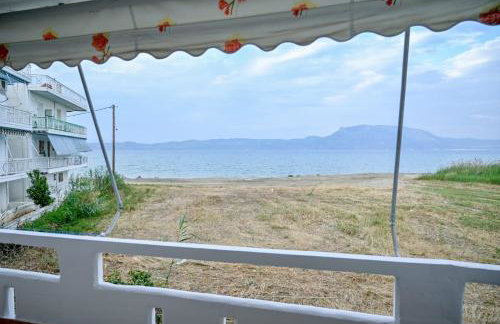 Blue Waves - Foto 24