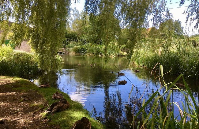 Idyllic Riverside Cottage in Dorset - Foto 11