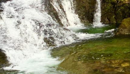 Linnhe Apartment, Kinlochlaich House - Foto 5