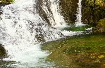 Linnhe Apartment, Kinlochlaich House - Foto 5