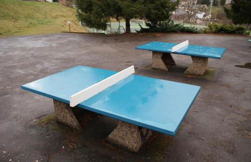 T2 RESIDENCE 3 ETOILES Piscine chauffée Sauna Hammam - Foto 27