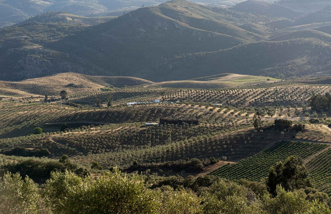 Golden House - Foto 42