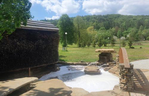 Ośrodek Wczasów Zdrowotnych Rudawka Rymanowska - Foto 35