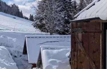 Schwarzwald Chalet Matti in Todtnauberg - Foto 53