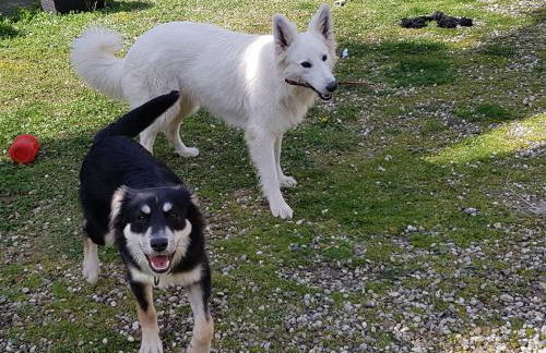 La Petite Maison du Gardien - Foto 18