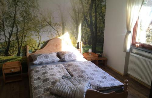 Eldorstal 1 - Ferienwohnung in Bad Harzburg mit Hund - direkt am Nationalpark - 1000 qm Garten - Foto 9