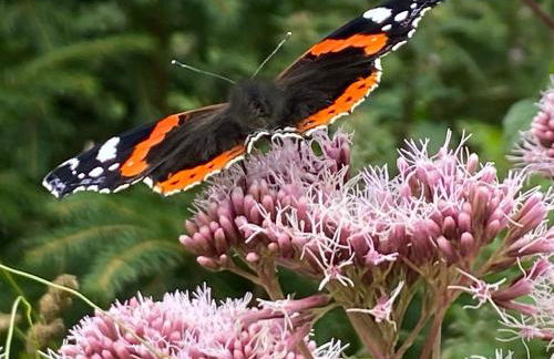 Waldläufer Brilon - Foto 37