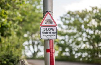 Kewwater Getaways Seafront Apartment in Johnshaven - Photo 15