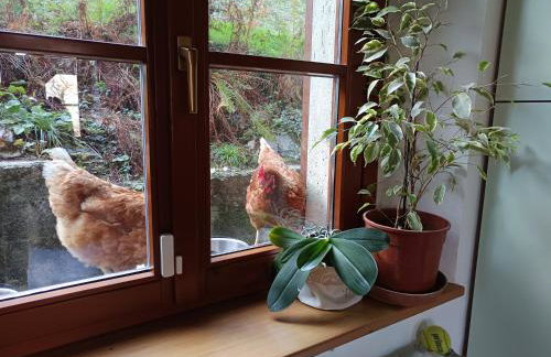 La Casa di Alice - Foto 29