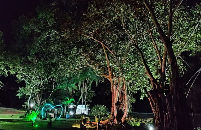 Hotel Fazenda Aguas VIvas - Foto 32