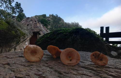 Rifugio Ortobene - Foto 37