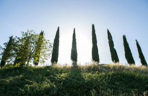 Agriturismo Poggio Corbello - Foto 94