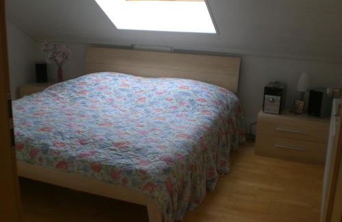 Romantisches Hirschhorn am Neckar - Photo 21