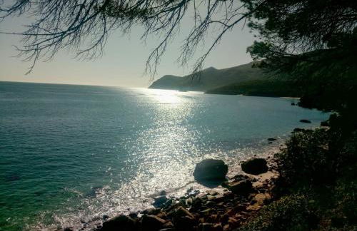 Pateo da Memória-Casa do Artesão - Foto 23