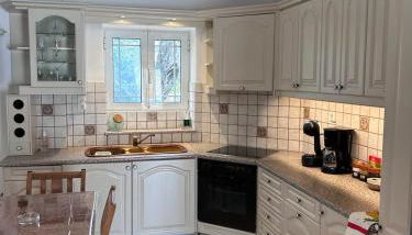 Villa Delphini - Foto 4, stove