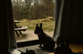 Our Log House in the woods - Photo 17