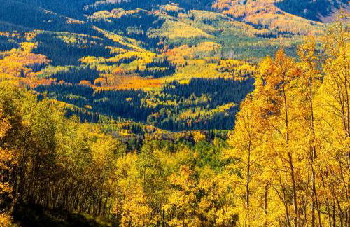 Mountainside Cozy Walk to Gondola Hot Tub Condo - Foto 33