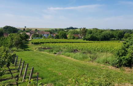 Haus Rebenblick - Foto 11