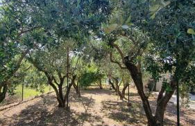 Baćina Lakes - Apartment Jelena - Foto 32