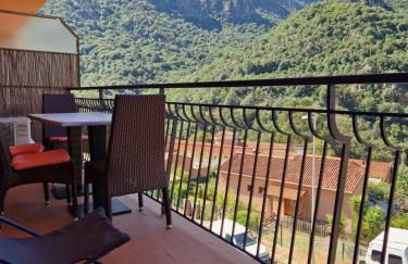 T2 vue mer & montagne Golfe de Porto-Ota - Foto 10