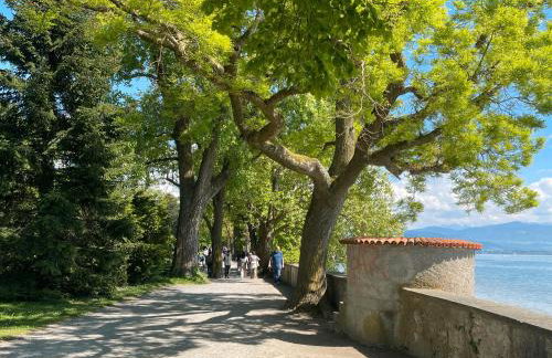 Lieblingsmensch - Foto 11