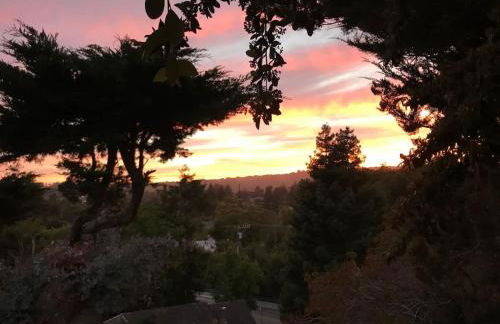 The Midtown Cottage- w/ Private Entrance and Views - Foto 13