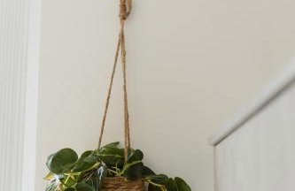 Luxury 3 Bed Home Near Peak District with Cinema Room - Foto 23