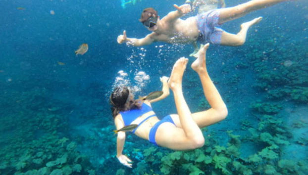 Explore the underground garden!